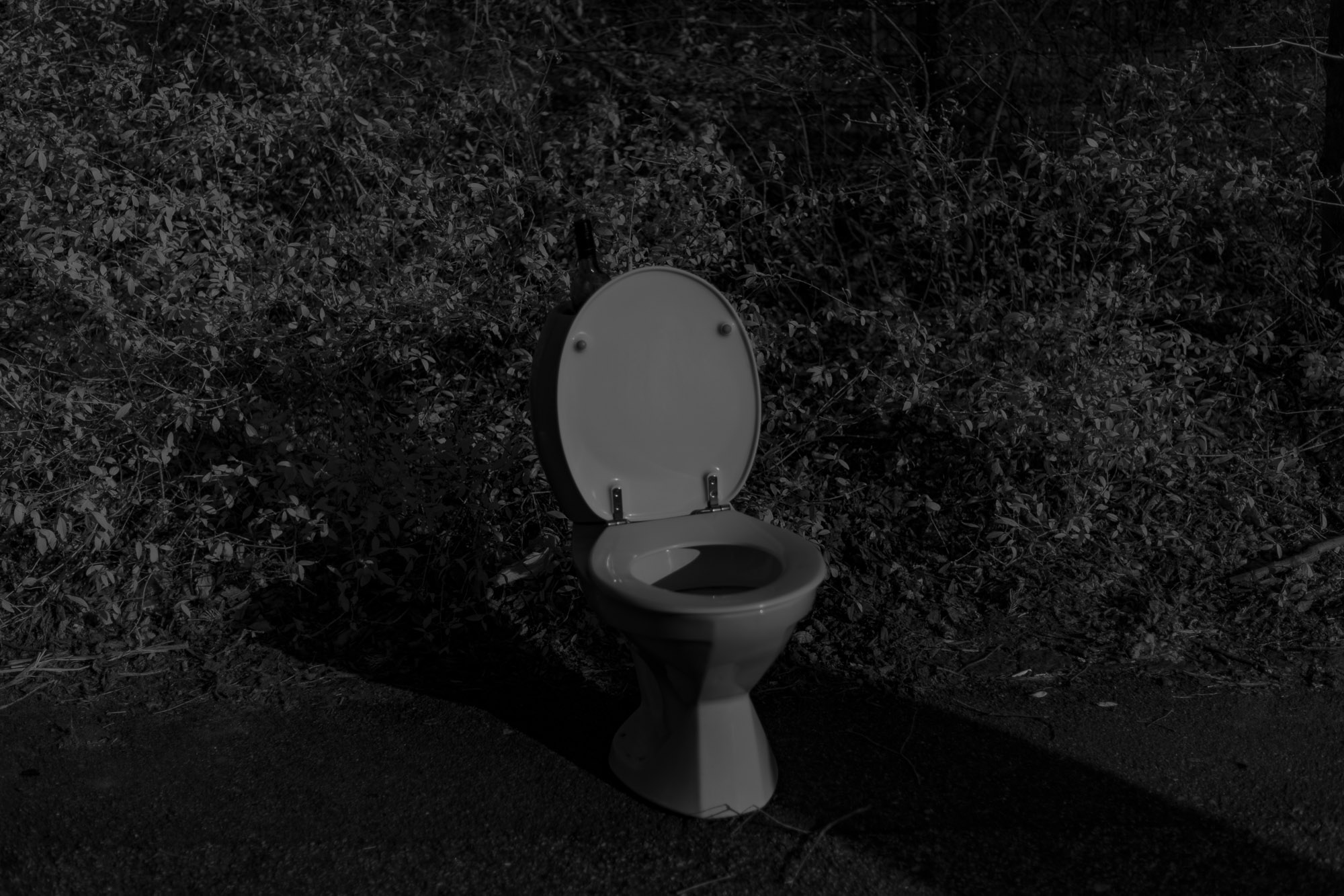 image of toilet