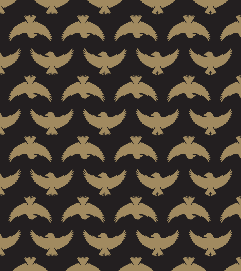 Sparrow logo pattern